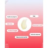 CICAMAX BAUME A LEVRE 15ML